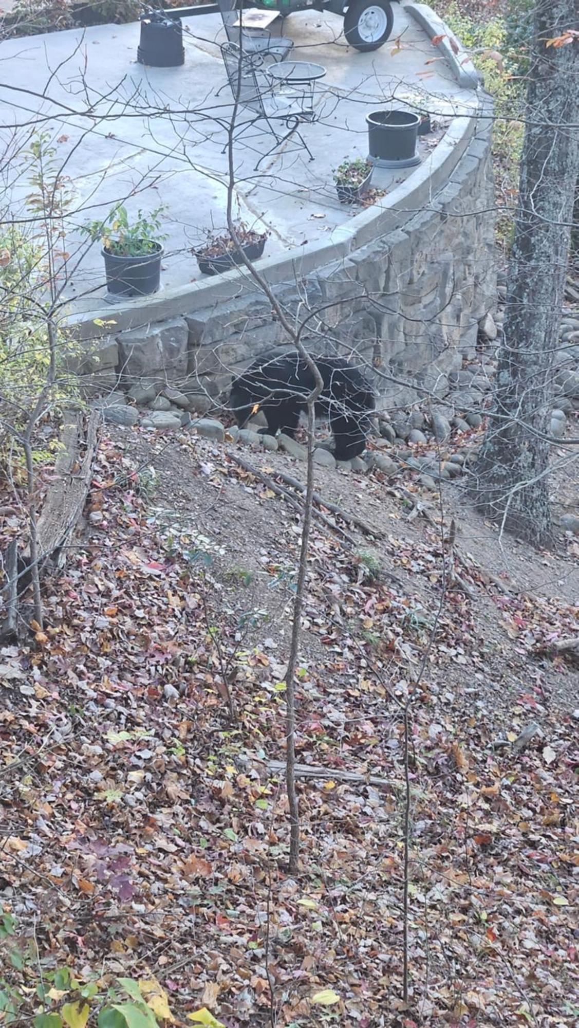 Southern Oak At Chalet Village - 5 Minutes From Gatlinburg And National Park 외부 사진